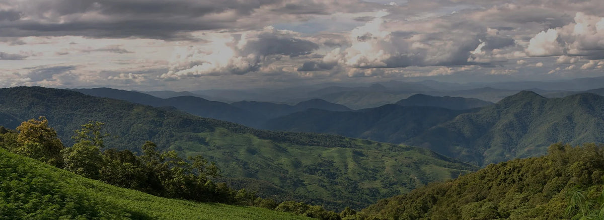 Scenic view of green mountains under a cloudy sky