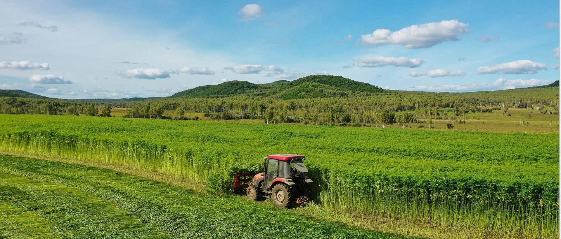 Tractor in a field with green hills and blue sky